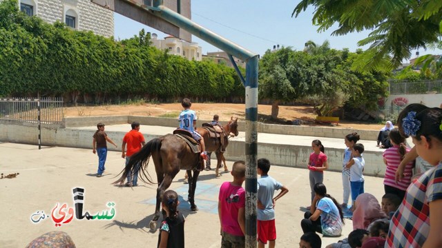 كفرقاسم - فيديو  : تعليم هواية ركوب الخيل في مدرسة جنة ابن رشد في اليوم الرابع لصيف الصادقة 